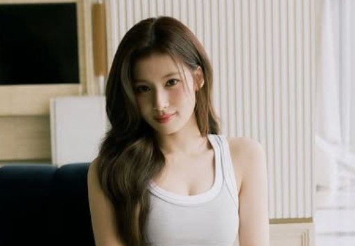 TWICE SANA　サナ　ハーゲンダッツ　ガナッシュショコラ　CM 湊﨑紗夏　誰　可愛い　アイスクリーム　チョコレート