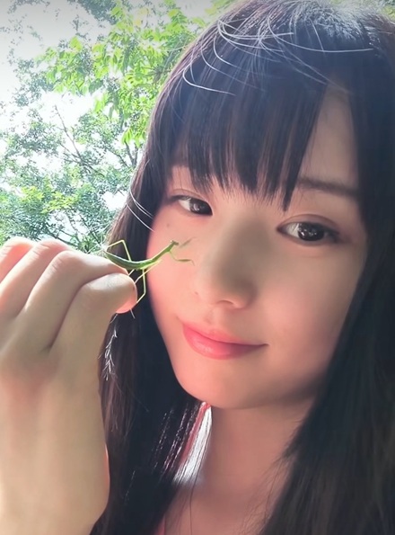 河村ここあ　片田陽依　片田ひより　ダイセル　ダイセルCM DAICEL　ミスセブンティーン
