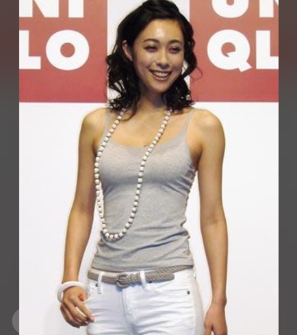 吹石一恵　劣化　老化　太った　顏ぱんぱん　オバサン　オバハン　激太り　リブート　六合の妻　デブ　仲間由紀恵